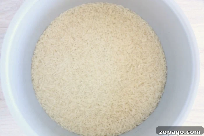 Perfect Fluffy Ninja Foodi Rice 5 A pressure cooker with a steaming, perfectly cooked batch of rice, ready to be fluffed.