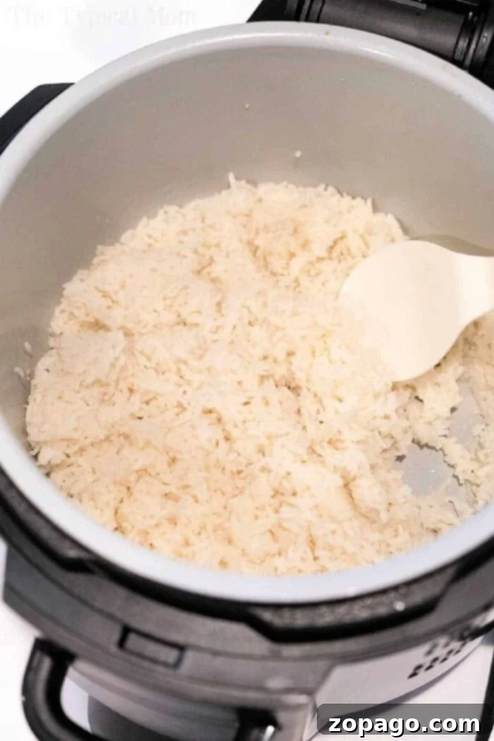 Perfect Fluffy Ninja Foodi Rice 9 A close-up of perfectly cooked rice in a Ninja Foodi pot, showcasing its fluffy texture.