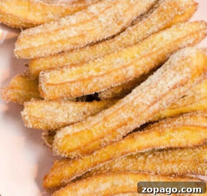 Delicious Homemade Churros 2 Crispy, golden-brown homemade churros dusted with cinnamon sugar, ready to be enjoyed.
