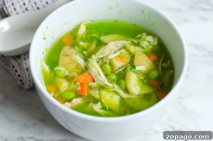 Instant Pot Comfort Soup 6 A hearty bowl of Instant Pot chicken and potato soup, featuring tender chunks of chicken, soft potatoes, and vibrant greens in a rich, savory broth, promises warmth and comfort. The steam gently rises, highlighting its inviting appeal.