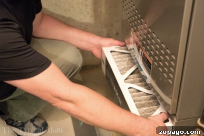 Hands holding a new air filter, ready for installation, demonstrating the ease of replacement.