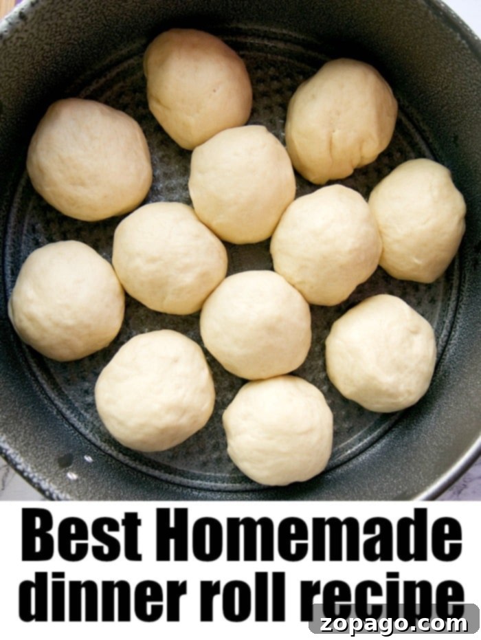 The perfect fluffy interior of an easy homemade roll. A close-up of the delicate, fluffy texture of a torn homemade dinner roll, revealing its soft interior.
