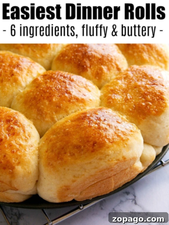 Warm, golden dinner rolls ready to be enjoyed. A baking sheet filled with golden, fluffy dinner rolls, fresh from the oven, with a light sheen.