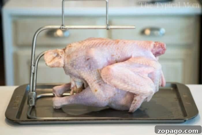Our signature smoked turkey rub recipe, displayed before application.
