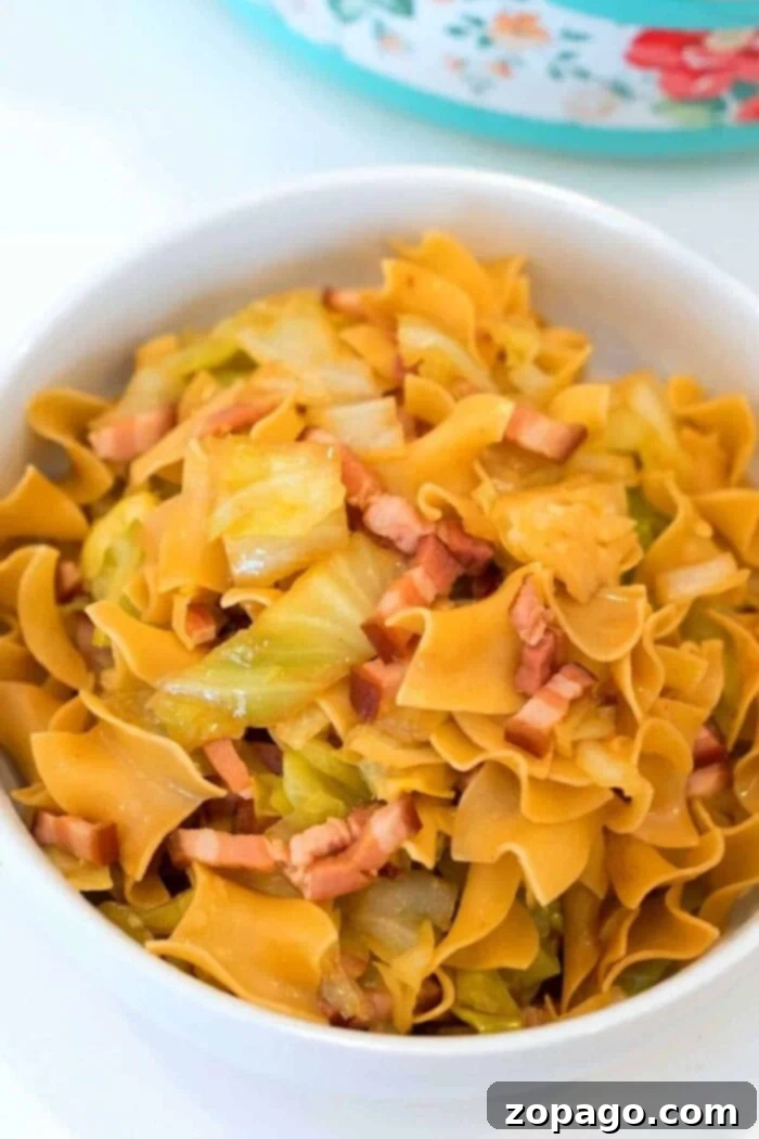 Quick-Cook Cabbage Noodle Feast 2 A beautifully presented bowl of golden egg noodles, perfectly infused with pressure cooker cabbage and generously topped with crispy pieces of cooked bacon. The cabbage is tender yet retains a slight bite, complementing the rich flavors of the dish. This inviting comfort meal is served in a pristine white bowl, resting on a light-colored surface, ready to be savored.