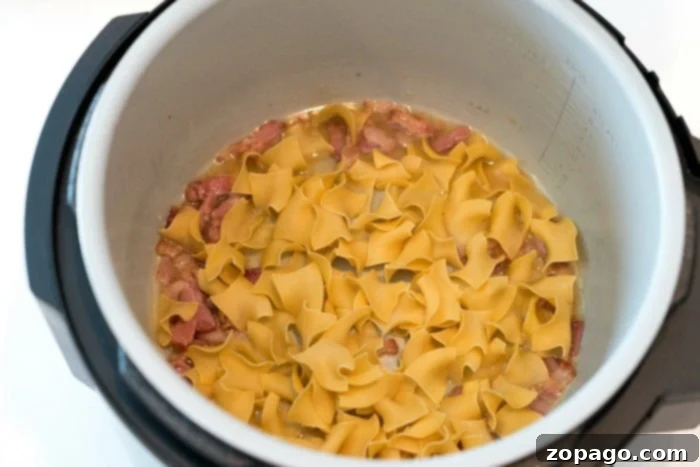 Cabbage and noodles cooked in a Ninja Foodi for a fast and flavorful meal. A delicious one-pot meal of cabbage and noodles cooked in a Ninja Foodi, ready to be served directly from the pot, highlighting the convenience and flavor of pressure cooking.