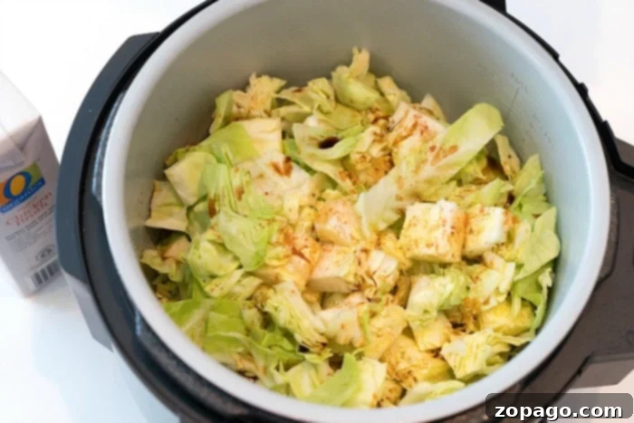 Delicious Cabbage and Noodles recipe in your Ninja Foodi, a perfect weeknight dinner. A close-up shot of a Ninja Foodi filled with a freshly cooked cabbage and noodles recipe, showcasing the tender textures and savory flavors of this easy comfort food.