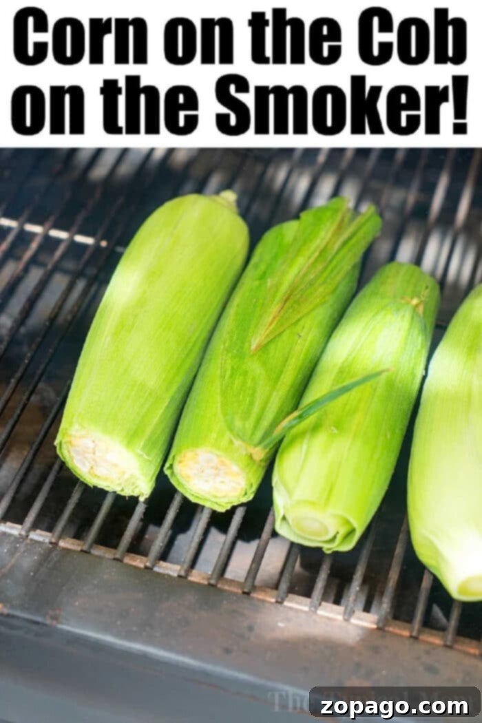 Close-up of corn on the cob with tip cut off, ready for the smoker.