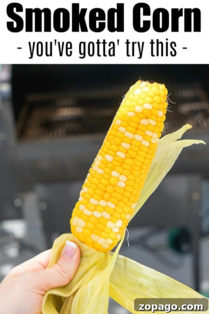 Close-up of freshly smoked corn on the cob, ready for butter.