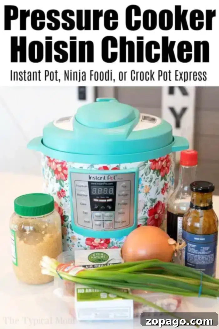 Instant Pot Hoisin Glazed Chicken 3 A floral Instant Pot sits on the counter, ready for pressure cooker hoisin chicken, surrounded by fresh ingredients like sauces, garlic, ginger, and green onions.