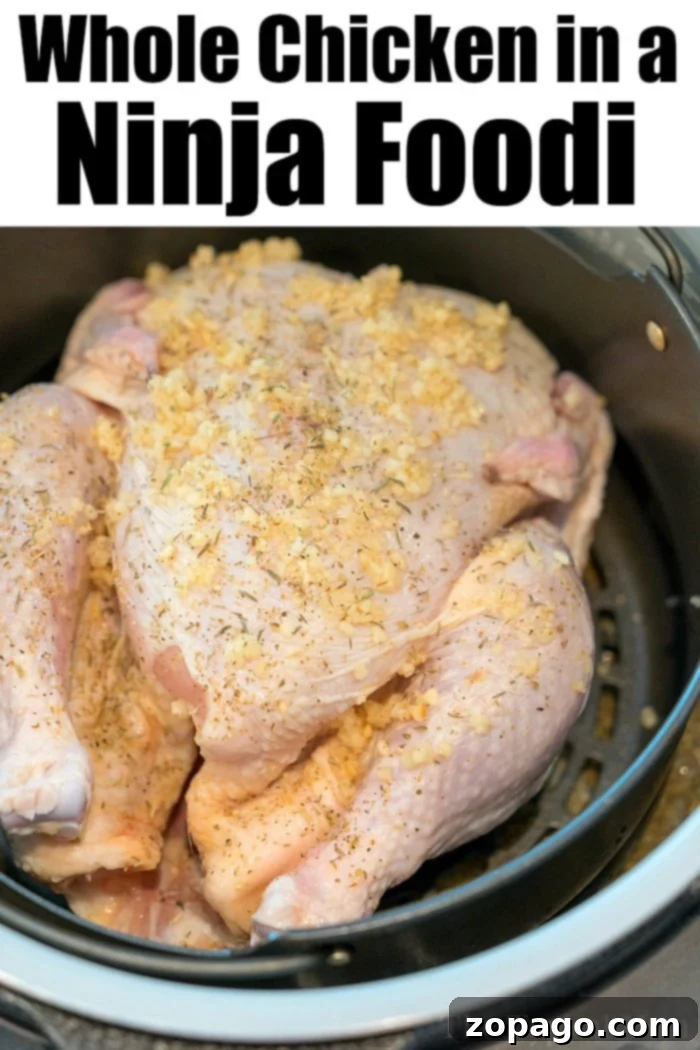 Ninja Foodi whole chicken recipe using the pressure cooker and air fryer functions, resulting in tender meat with crispy chicken skin. #ninjafoodi #ninjafoodirecipes #pressurecooker #airfryer #chicken #wholechicken #keto #thetypicalmom Seasoned whole chicken ready for the Ninja Foodi, highlighting the rich garlic and herb rub for a perfect Ninja Foodi chicken recipe.