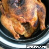 Roasted whole chicken in a Ninja Foodi pot, showcasing crispy, golden-brown skin, making a perfect Ninja Foodi chicken recipe.