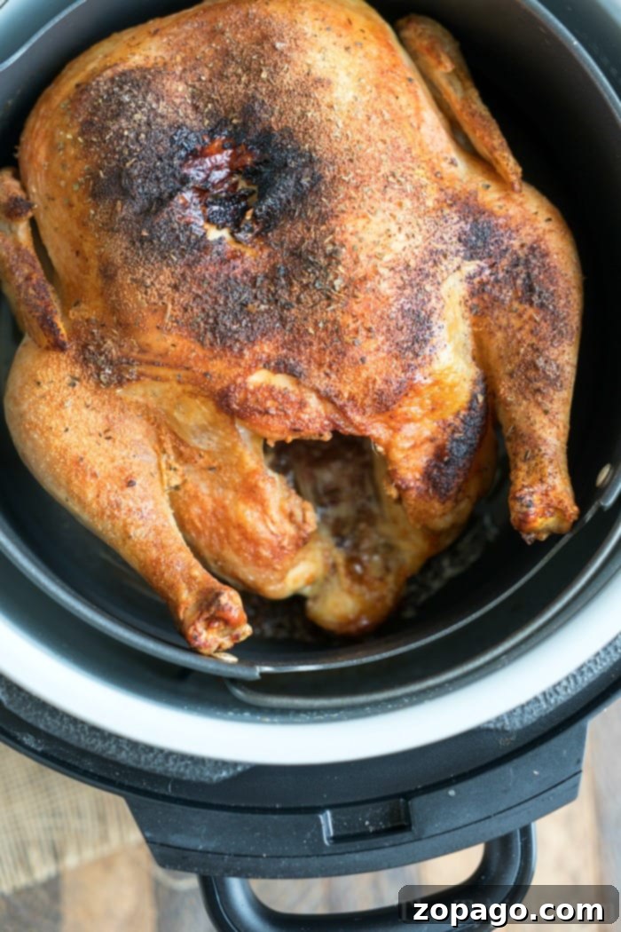 How to cook a Ninja Foodi chicken with crispy results. #ninjafoodi Golden brown whole chicken cooked to perfection in an air fryer, highlighting the crispy skin.