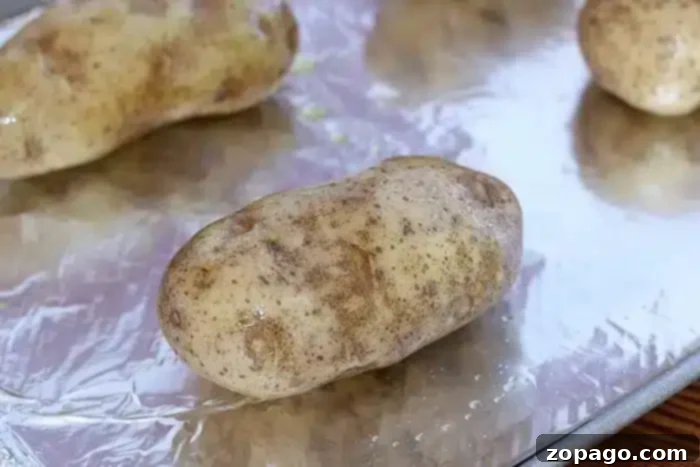 Make-Ahead Twice-Baked Potatoes 3 A large, raw Russet potato coated in olive oil rests on a foil-lined baking sheet, meticulously prepped for the first bake. Another potato peeks from the background, ready for its turn in creating perfect Make Ahead Twice Baked Potatoes.