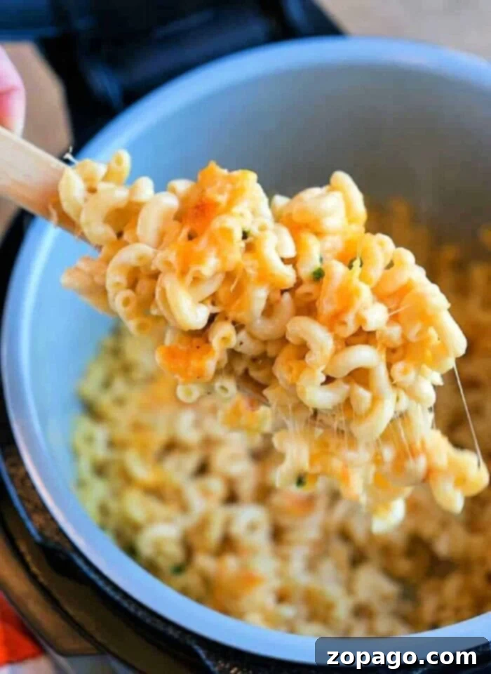 Easy Ninja Foodi Mac and Cheese 2 Easy Ninja Foodi Macaroni and Cheese, creamy and delicious pressure cooker pasta