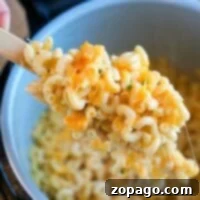 Creamy Ninja Foodi Mac and Cheese