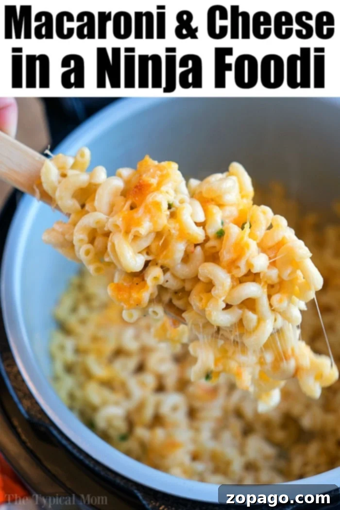 Creamy Ninja Foodi macaroni and cheese recipe that is the BEST pressure cooker mac and cheese you'll ever make in under 15 minutes flat! Cheesy perfection. Ninja Foodi macaroni and cheese, showing a generous serving ready to be enjoyed.