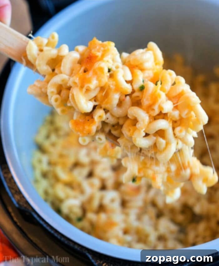 Ninja Foodi Creamy Macaroni and Cheese 4 Close-up of Ninja Foodi macaroni and cheese, highlighting the rich, cheesy texture.