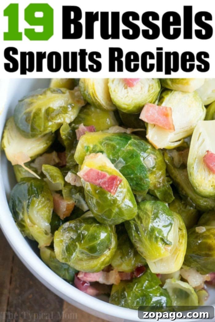 Discover 19 ways to cook brussel sprouts you will love! Learn how to pressure cook, roast, bake and grill brussels perfectly so they're tender but crispy on the outside. Explore our comprehensive guide to delicious vegetable dishes and healthy side dishes. #brusselsprouts #brussels #brusselssprouts #vegetables #roasted #instantpot #grilled #baked #vegetarian #sidedish Ways to Cook Brussel Sprouts
