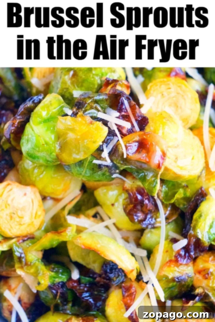 Perfecting Pan-Seared Brussels Sprouts 4 Brussel Sprouts in the Air Fryer