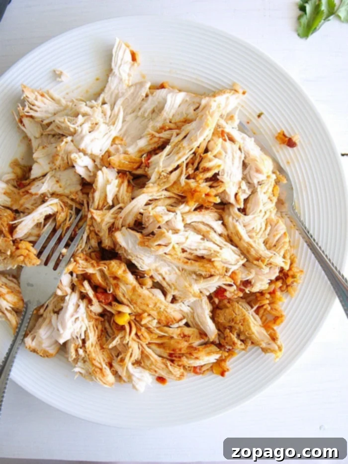 Shredded chicken in an Instant Pot. #instantpot #shreddedchicken Perfectly shredded chicken in an Instant Pot, seasoned and ready to be mixed into a delicious taco bowl.