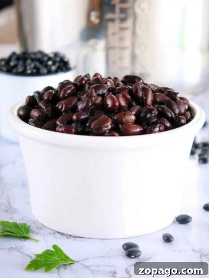 Perfectly cooked Ninja Foodi black beans, no soaking needed