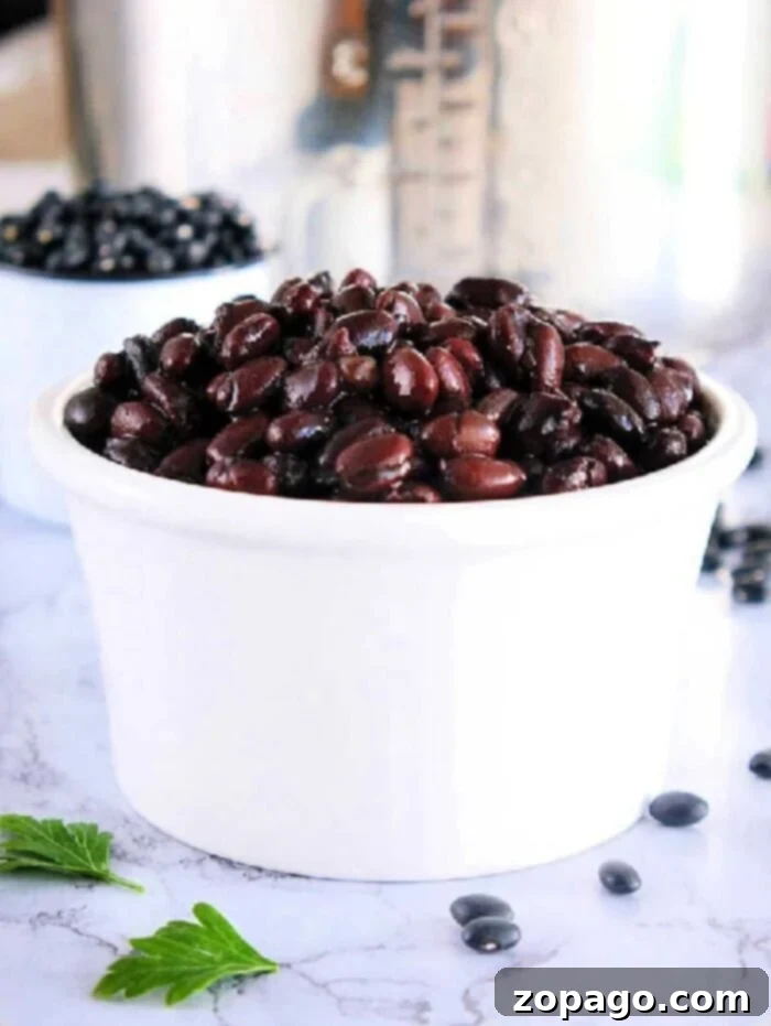 A white bowl filled with perfectly tender black beans cooked in a pressure cooker rests on a marble surface, with dried beans scattered in the background.
