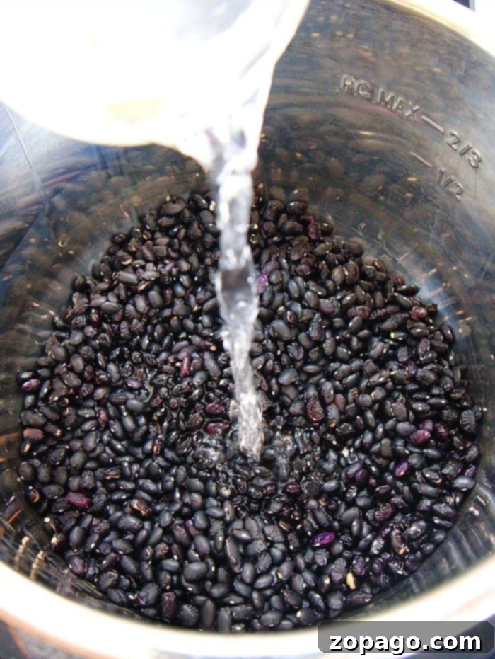 Pressure Cooker Black Beans ready to be seasoned