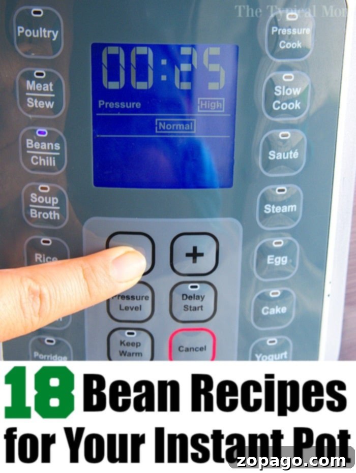 Speedy Instant Pot Bean Dishes 10 A vibrant assortment of Instant Pot bean recipes, perfect for any meal