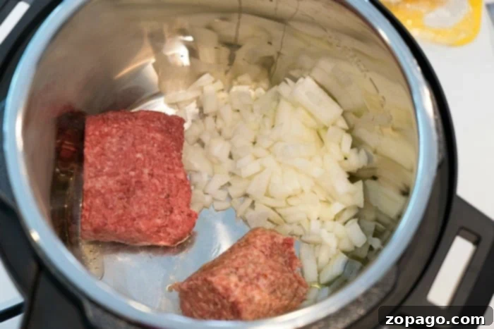 Ground beef and chopped onions in an electric pressure cooker, ready to whip up a flavorful mild chili recipe.