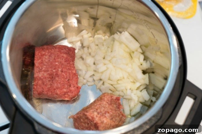 Mealthy recipes. #mealthy mealthy pressure cooking