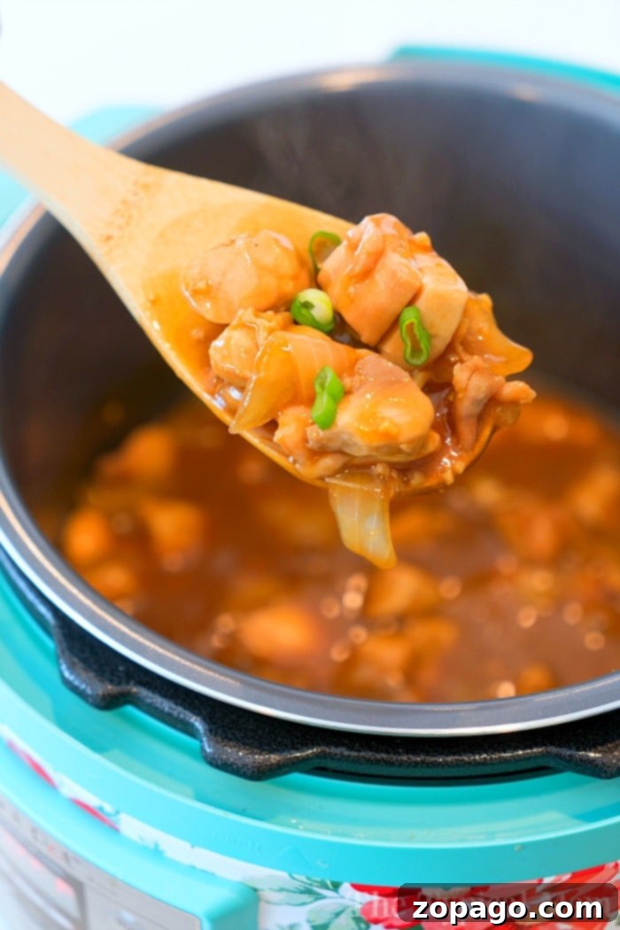 Mealthy MultiPot Electric Pressure Cooker: A Comprehensive Review 2 pressure cooker hoisin chicken