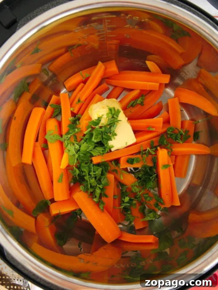 Savory pressure cooker carrots with fresh herbs, a quick and delicious side. Close-up of savory instant pot carrots with fresh herbs and melted butter.