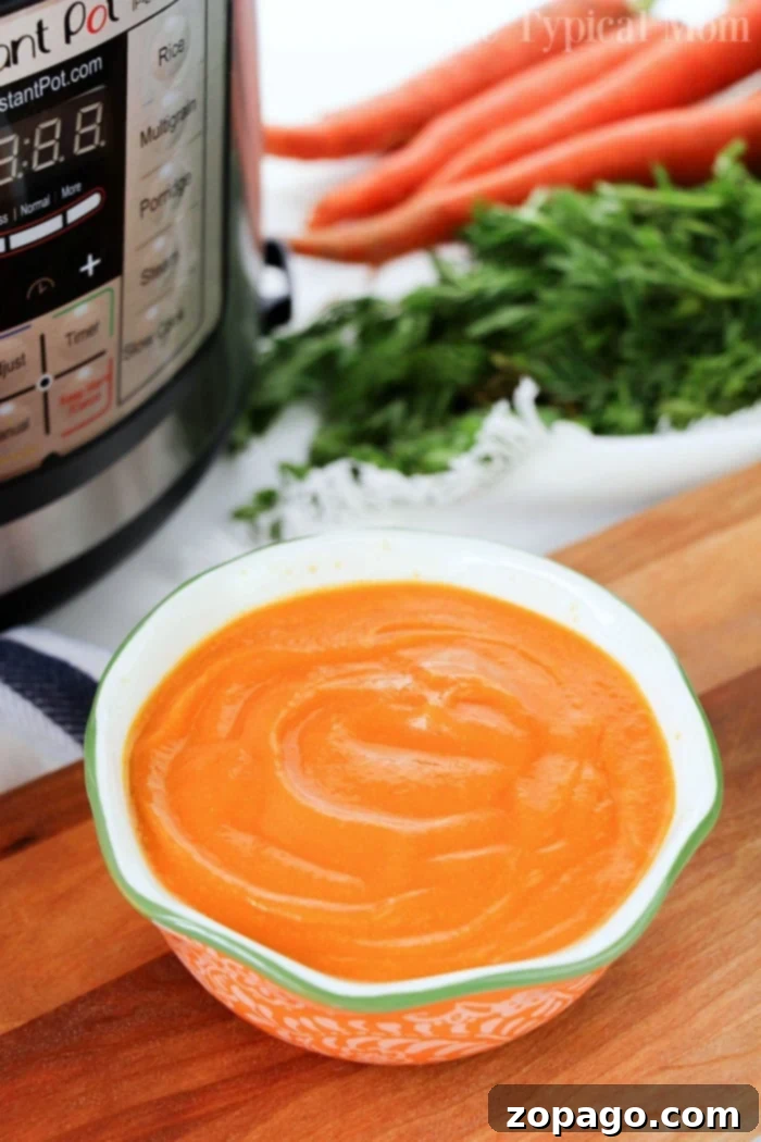 Instant Pot carrot soup is so easy and a healthy start to any meal. Made with fresh vegetables and 5 other ingredients you can have it for dinner tonight. Vibrant Instant Pot carrot soup in a bowl, garnished with fresh herbs, ready to be served as a healthy, easy, and flavorful meal.