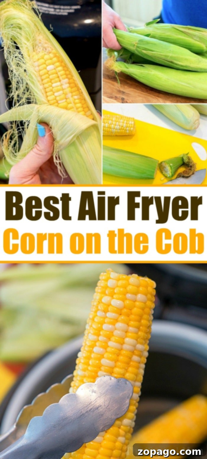 Air fryer corn on the cob is the best!! Air fryer corn on the cob with seasoning