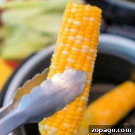 Tongs holding air fryer corn on the cob hover over the basket, showcasing a perfectly cooked ear. Another ear rests inside, ready to savor.