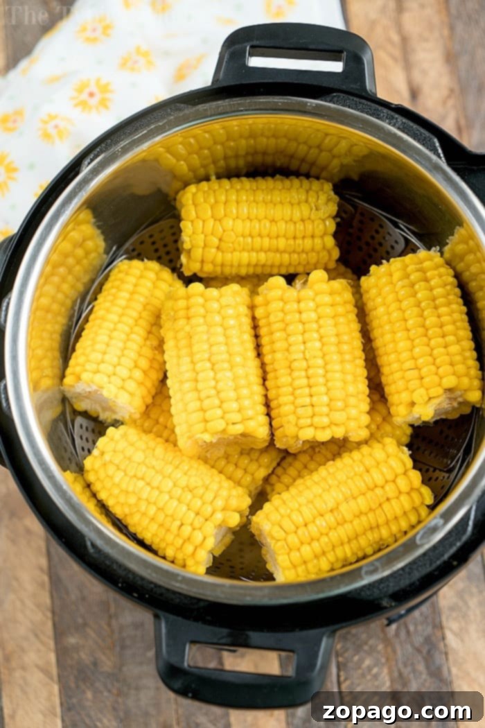 Corn on the cob pieces are artfully arranged in a steaming basket inside an Instant Pot, transforming it into the perfect pressure cooker for effortless, delicious results.