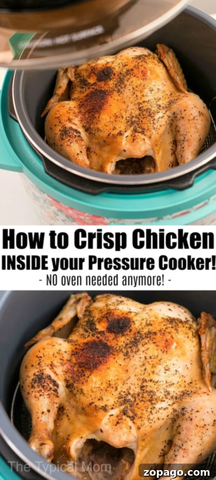 Delicious CrispLid Rotisserie Chicken in Your Pressure Cooker CrispLid recipes for rotisserie chicken