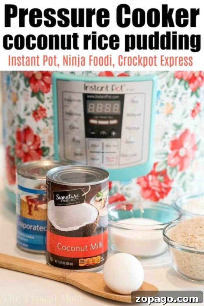 Coconut Cloud Pudding 3 pressure cooker coconut rice pudding