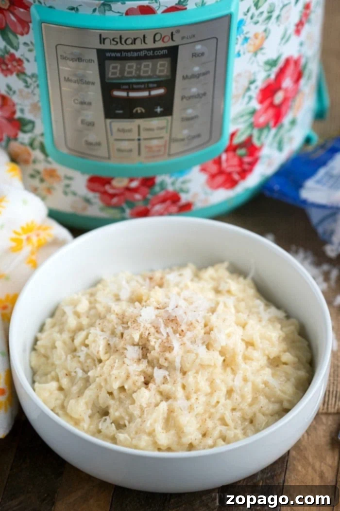 Instant Pot coconut rice pudding recipe. #instantpot A bowl of coconut rice pudding sits elegantly in front of a floral-patterned Instant Pot, reminiscent of a delectable instant pot rice pudding recipe.