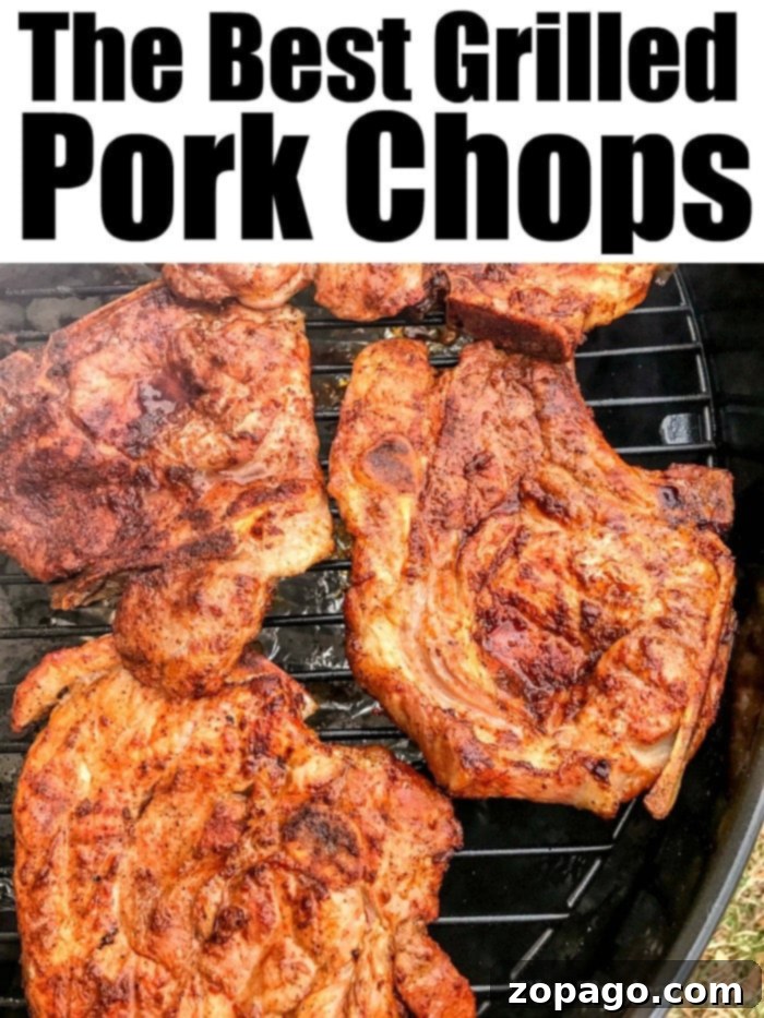 Best Grilled Pork Chops Perfectly grilled pork chops with a flavorful dry rub, served fresh off the barbecue.