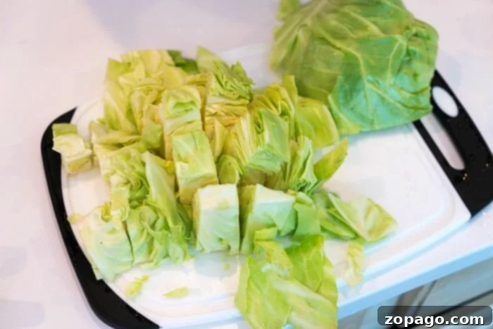 Cabbage recipes. cabbage recipes