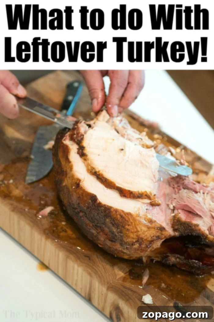 Flawlessly Moist Turkey Every Time 10 leftover turkey recipe