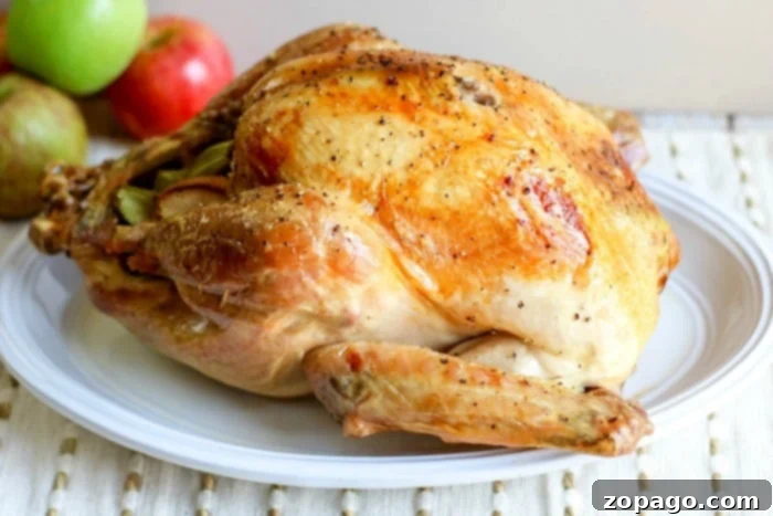 Perfectly Juicy Turkey Guaranteed 8 baking a turkey in the oven