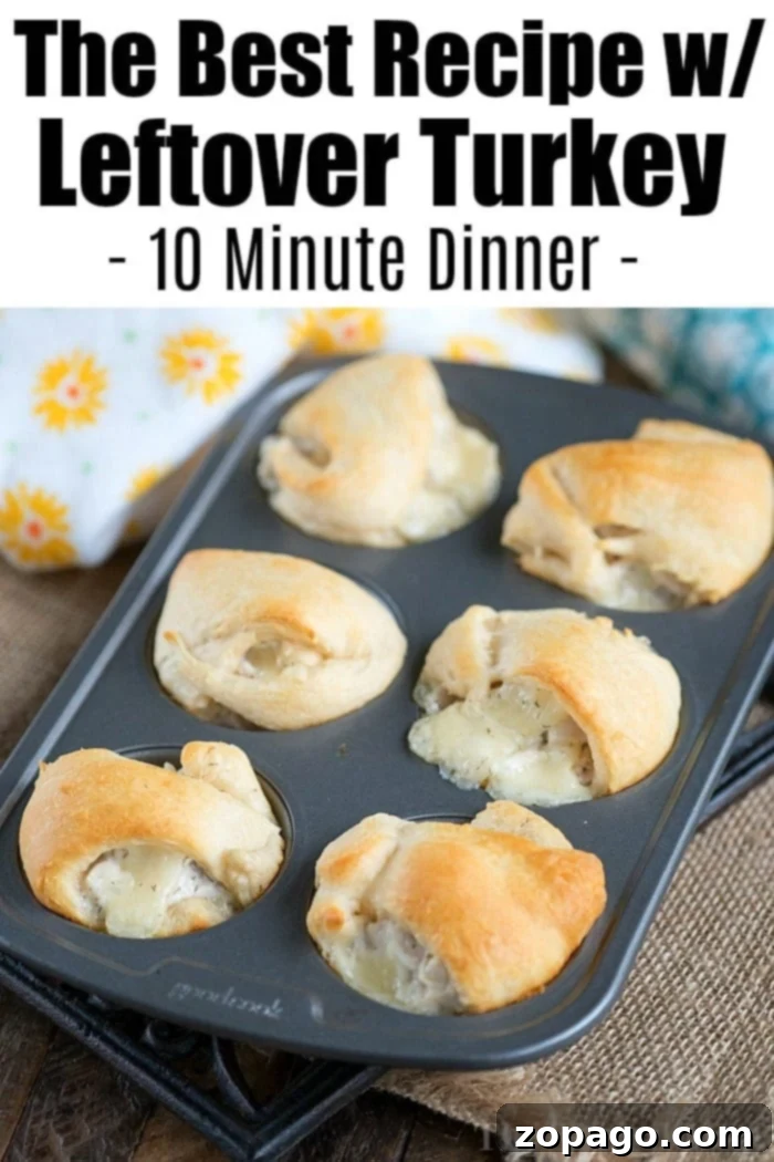 Perfectly Juicy Turkey Guaranteed 9 leftover turkey recipes