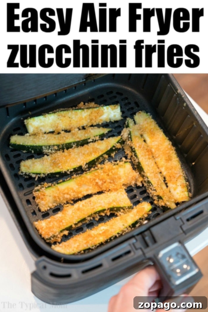 Homemade Old Bay Seasoning Recipe 4 Crispy air fryer zucchini fries seasoned with Old Bay, ready for dipping.