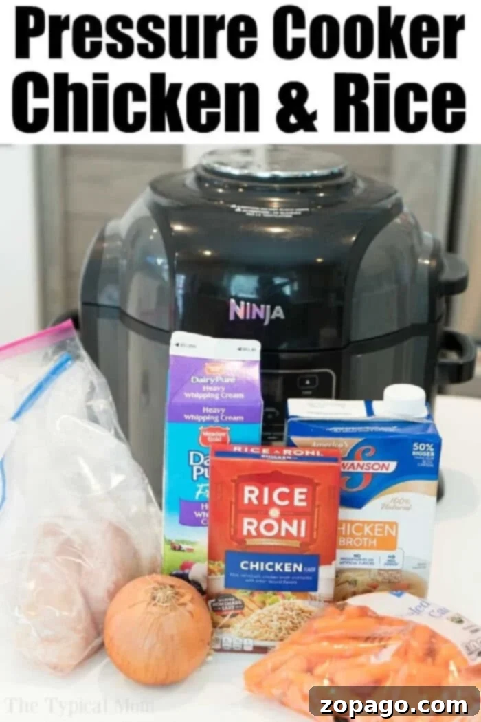 Ingredients for creamy chicken and rice casserole in front of a Ninja pressure cooker: chicken, cream, rice mix, broth, onion, and carrots.