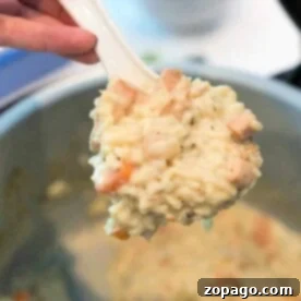 A spoon scoops creamy chicken and rice casserole from the pressure cooker.