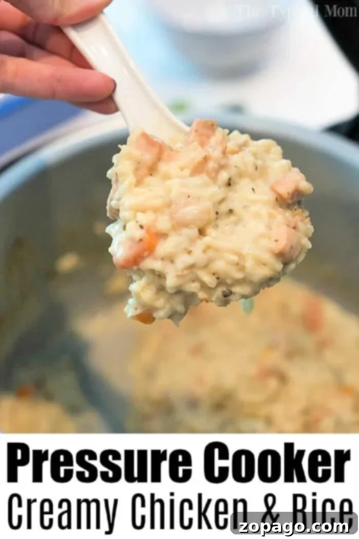 Pressure-Cooker-Creamy-Chicken-and-Rice-Casserole