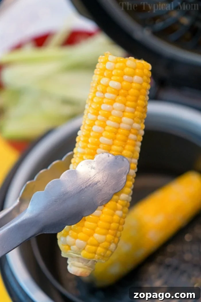 Delicious Corn Creations 3 Perfectly Cooked Corn on the Cob for Side Dishes